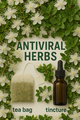 ANTI-VIRAL HERBS