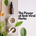 ANTI-VIRAL HERBS