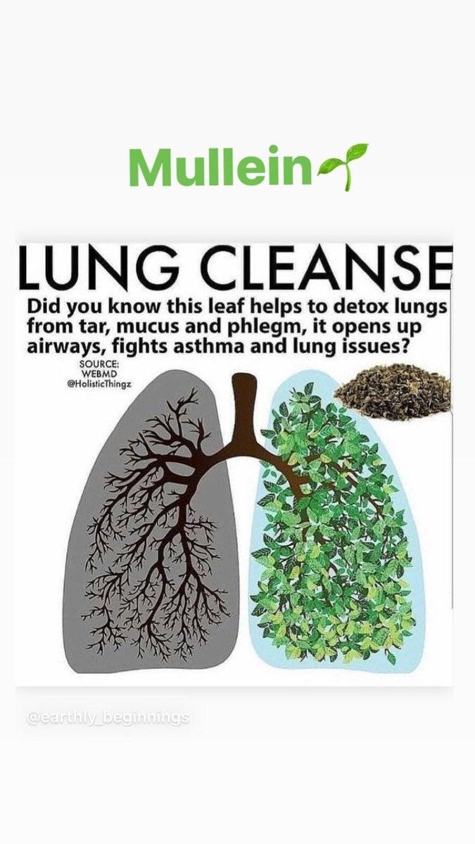 Strong Lungs herbs