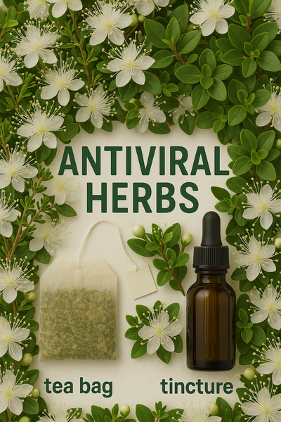 ANTI-VIRAL HERBS