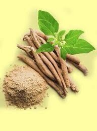 Ashwagandha Supplements